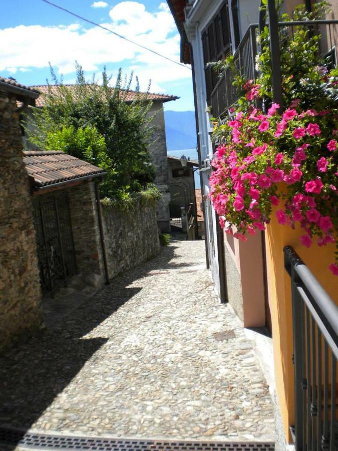 Appartamento Il Nido Rezzonico Esterno foto